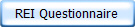 REI Questionnaire